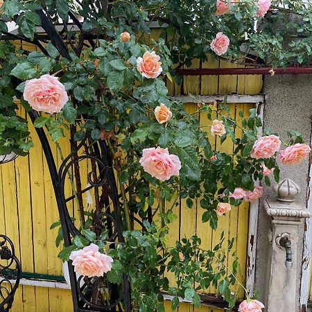 Luxurious Villa With Lush Garden And Huge Terrace Near Herastrau Park 布加勒斯特 外观 照片